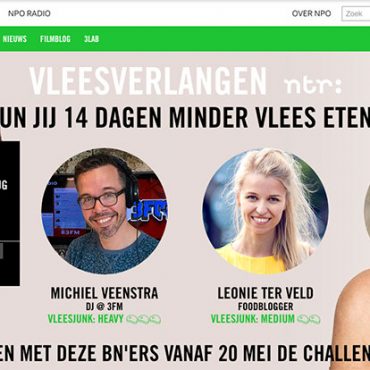 Screenshot van het online project